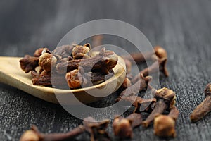 Dry cloves in wooden scoop isolated on white background with clipping path. Top view. Flat lay. selective focus