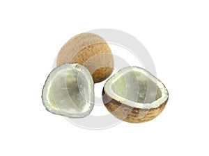 Dry Coconut