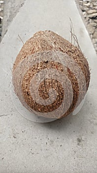 Dry coconut open peel preparing for sell