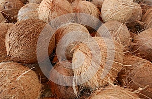 Dry coconuts for industrial processing