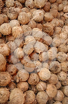 Dry coconuts for industrial processing
