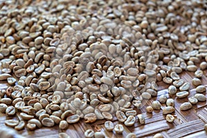 Dry Coffee bean in Basket
