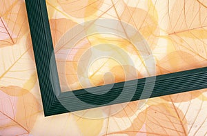 Dry colored leaves - background