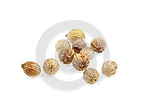 Dry coriander seeds isolated on white background, closeup