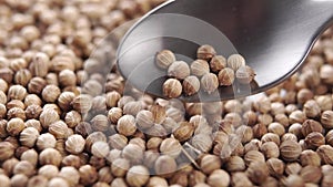 Dry coriander seeds in a spoon. Falling on a heap in slow motion. Macro.