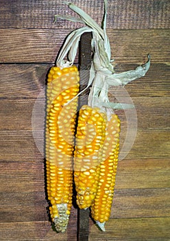 Dry corns on the cob kernels peeled