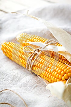 Dry corn cobs