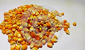 dry corn kernels after drying in the sun