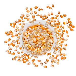 Dry corn seeds in bowl on white background