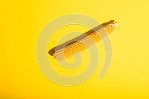 Dry corn on a  yellow background