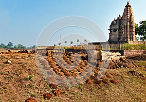 Dry cow dung near Javari Temple in Khajuraho