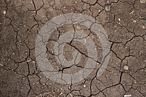 Dry cracked brown earth texture