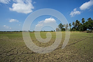 Dry cracked clay of wheat field. Dusty ground with deep cracks,