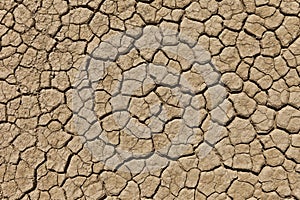 Dry cracked desert earth