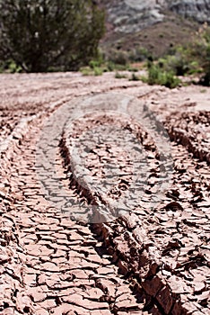 Dry cracked desert ruts with