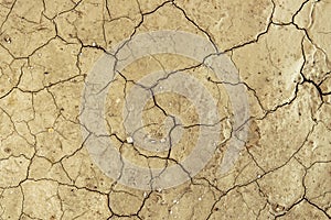 Dry cracked dirt Desert Background Texture Pattern