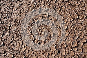 Dry cracked dirt surface