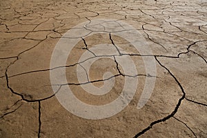 Dry Cracked Earth