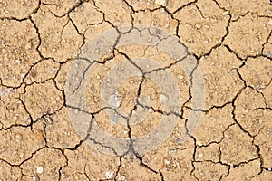 Dry cracked earth