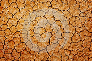 Dry cracked earth