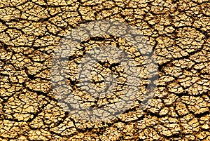 Dry cracked earth