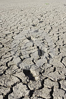 Dry cracked earth