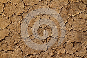 Dry cracked earth