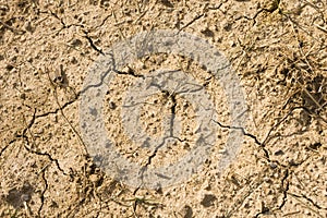 Dry Cracked Earth