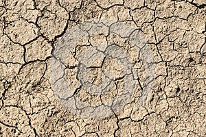 Dry and cracked earth background