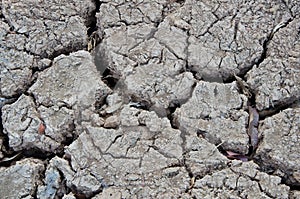 Dry cracked earth background