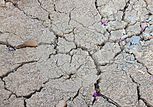 Dry cracked earth background