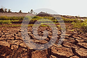 Dry cracked earth background in arid season. Many Province of North East in Thailand the ground dry. Brown cracked soil in the sum