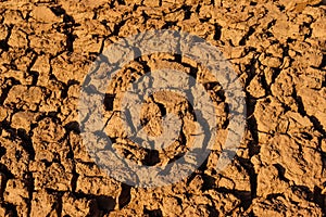 Dry cracked earth background in arid season. Many Province of North East in Thailand the ground dry. Brown cracked soil in the sum