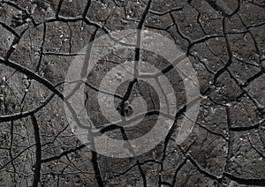 Dry cracked earth background. Black and white texture. Close up