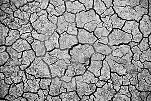 Dry cracked earth background