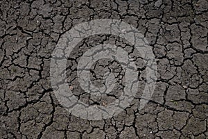 Dry cracked earth background, clay desert texture