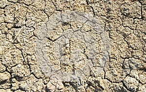 Dry cracked earth background, clay desert texture