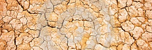 Dry cracked earth background, desert texture