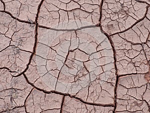 Dry Cracked Earth Desert Drought Background Closeup