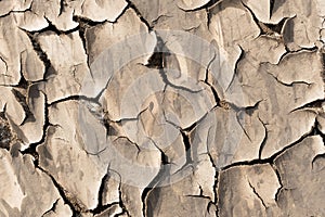 Dry cracked earth background. Closeup of cracked earth.