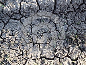 Dry and cracked earth background, concept of global warming