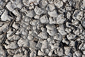 Dry cracked earth background. Cracks in the ground texture.