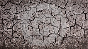 Dry cracked earth background. Dried mud texture