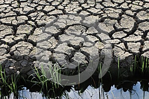 Dry cracked earth background, Global warming and climate change concept