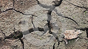 Dry cracked earth background. Global warming and climate change concept