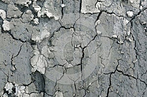 Dry cracked earth background, Global warming and climate change concept