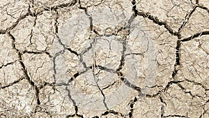 Dry and cracked earth background. Global warming concept.