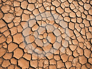 Dry cracked earth background texture.