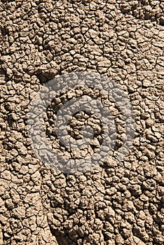 Dry cracked earth. Climate change background