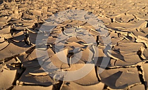 Dry cracked earth - Desert